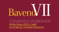 Baveno VII